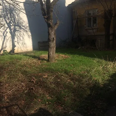 Alex House Sofia